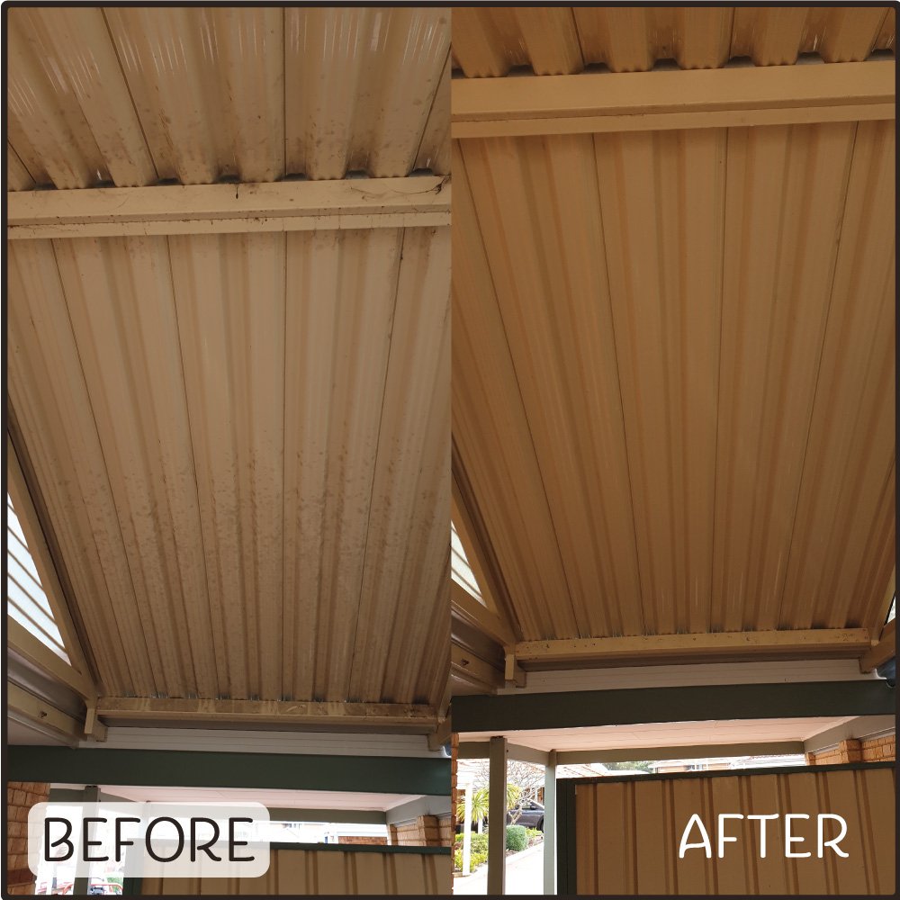Before and after photo showing how a Perth patio can be cleaned of mold with pressure washing